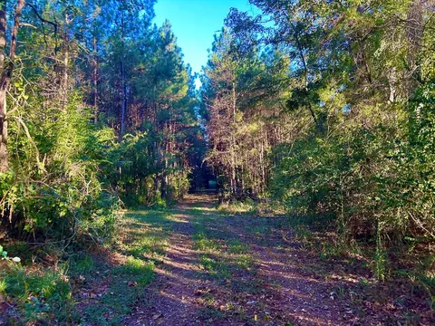 tbd Highway 569, Smithdale, MS 39664 photo 15
