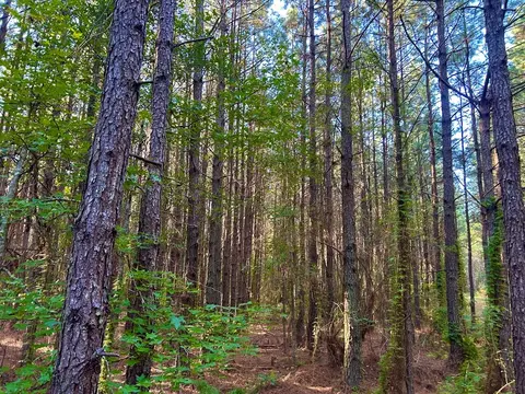 tbd Highway 569, Smithdale, MS 39664 photo 28