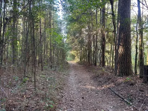 tbd Highway 569, Smithdale, MS 39664 photo 4