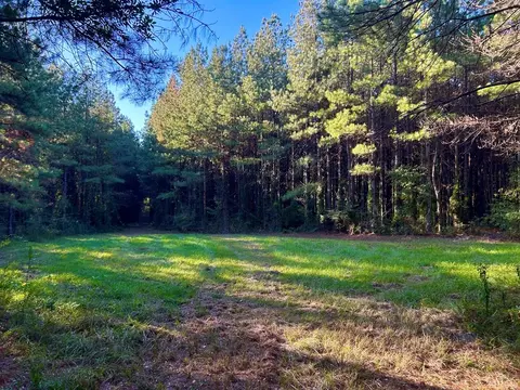 tbd Highway 569, Smithdale, MS 39664 photo 30
