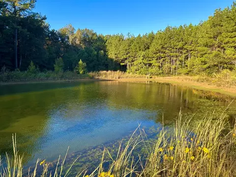tbd Highway 569, Smithdale, MS 39664 photo 6
