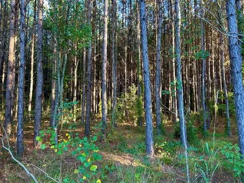 tbd Highway 569, Smithdale, MS 39664 photo 24