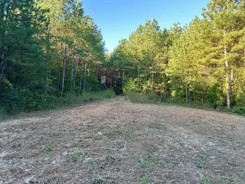tbd Highway 569, Smithdale, MS 39664 photo 8