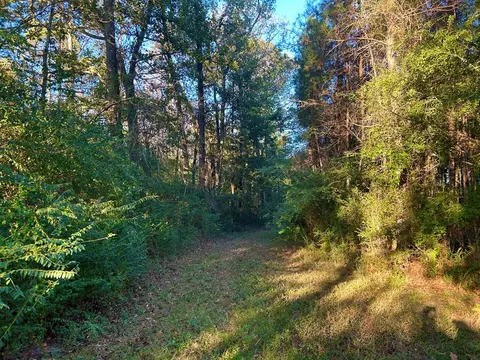 tbd Highway 569, Smithdale, MS 39664 photo 19