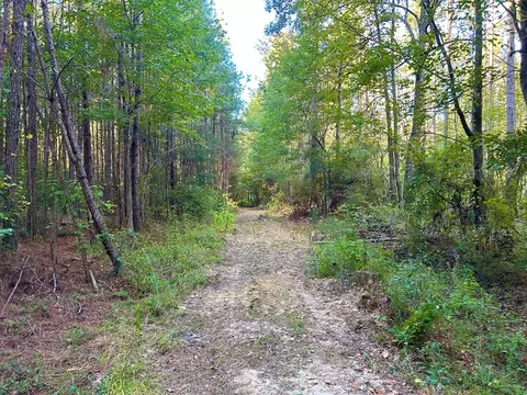 tbd Highway 569, Smithdale, MS 39664 photo 9