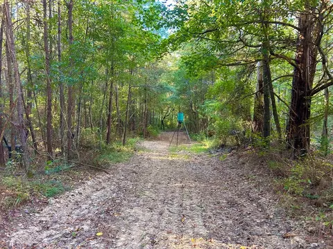 tbd Highway 569, Smithdale, MS 39664 photo 21