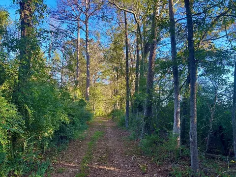 tbd Highway 569, Smithdale, MS 39664 photo 13