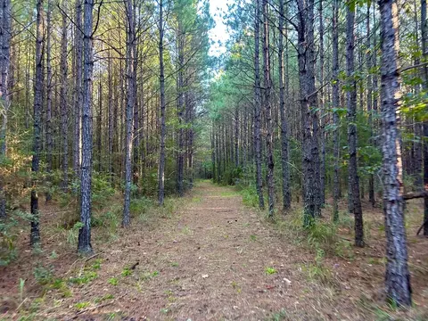 tbd Highway 569, Smithdale, MS 39664 photo 31