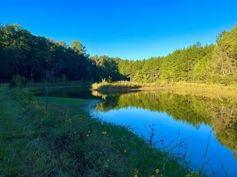 tbd Highway 569, Smithdale, MS 39664 photo 33