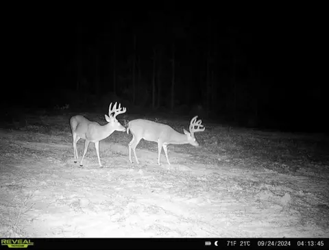 7 Oxford Meadville Rd, Gloster, MS 39638