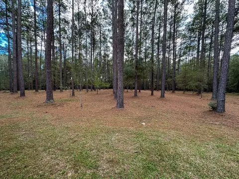 3033 Barto-leggett Rd, Mccomb, MS 39648 photo 23
