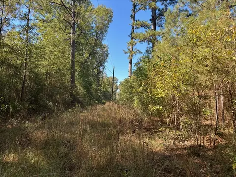 ... Harrison Drive, Mccomb, MS 39648 photo 3