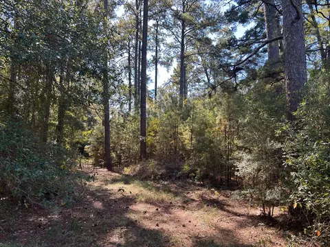 ... Harrison Drive, Mccomb, MS 39648 photo 2
