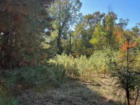 ... Harrison Drive, Mccomb, MS 39648 photo 4
