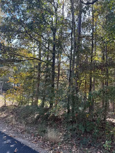 614 Pothook Rd, Roxie, MS 39661 photo 45