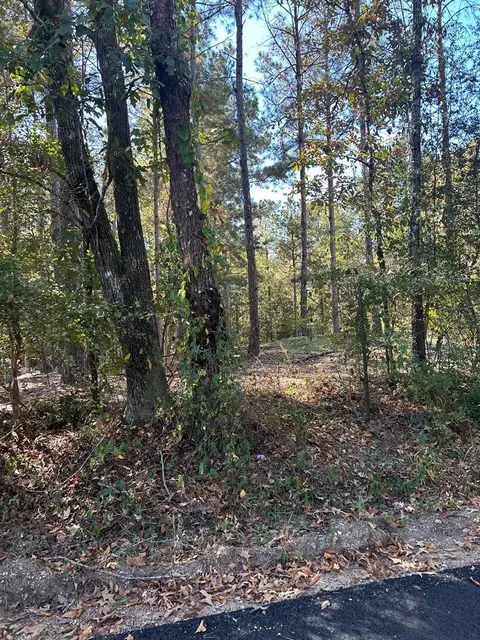 614 Pothook Rd, Roxie, MS 39661 photo 46