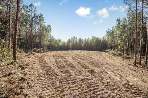 6040 Highway 33, Roxie, MS 39661 photo 5