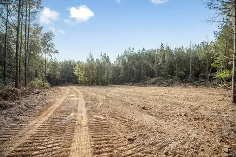6040 Highway 33, Roxie, MS 39661 photo 6