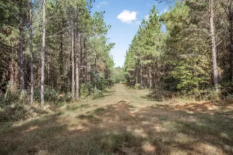 6040 Highway 33, Roxie, MS 39661 photo 18