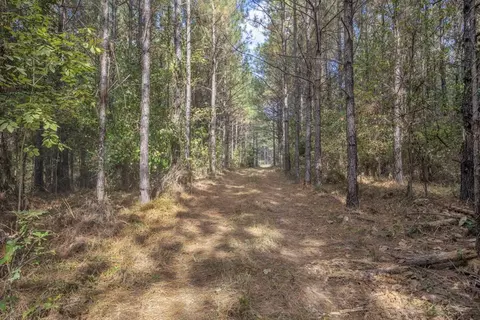 6040 Highway 33, Roxie, MS 39661 photo 17