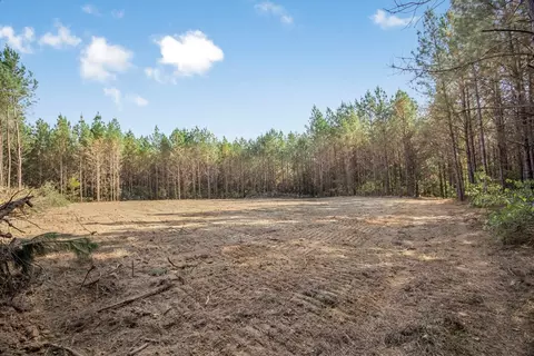 6040 Highway 33, Roxie, MS 39661 photo 19