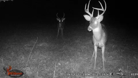 6040 Highway 33, Roxie, MS 39661 photo 37