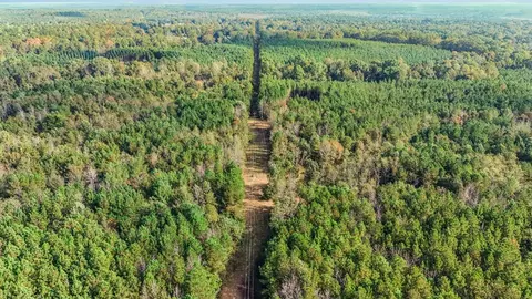 6040 Highway 33, Roxie, MS 39661 photo 32