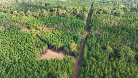 6040 Highway 33, Roxie, MS 39661 photo 26