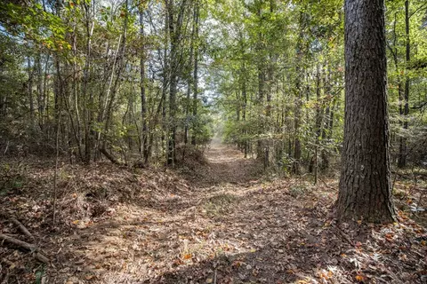 6040 Highway 33, Roxie, MS 39661 photo 15
