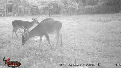 6040 Highway 33, Roxie, MS 39661 photo 39