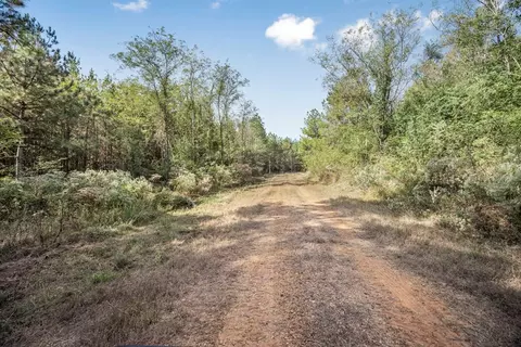 6040 Highway 33, Roxie, MS 39661 photo 22