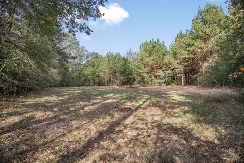 6040 Highway 33, Roxie, MS 39661 photo 14