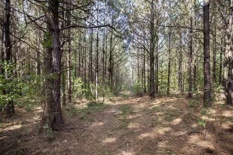 6040 Highway 33, Roxie, MS 39661 photo 20