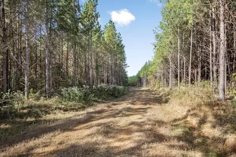6040 Highway 33, Roxie, MS 39661 photo 23