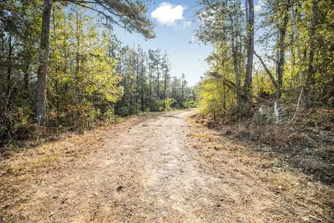 6040 Highway 33, Roxie, MS 39661 photo 2