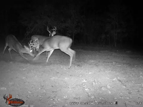 6040 Highway 33, Roxie, MS 39661 photo 33
