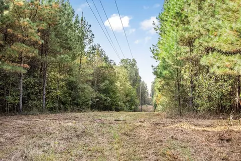 6040 Highway 33, Roxie, MS 39661 photo 9