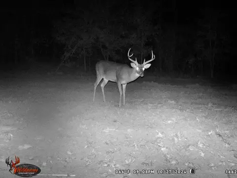 6040 Highway 33, Roxie, MS 39661 photo 34