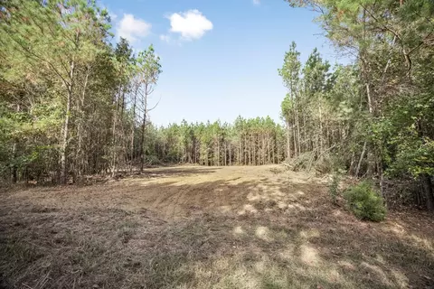 6040 Highway 33, Roxie, MS 39661 photo 8