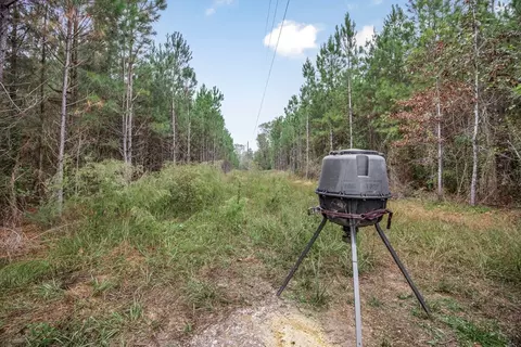 3162 Reeves Rd SE, Ruth, MS 39662 photo 3