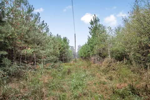 3162 Reeves Rd SE, Ruth, MS 39662 photo 5