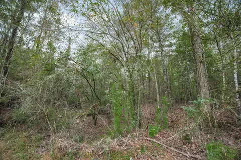 3162 Reeves Rd SE, Ruth, MS 39662 photo 9