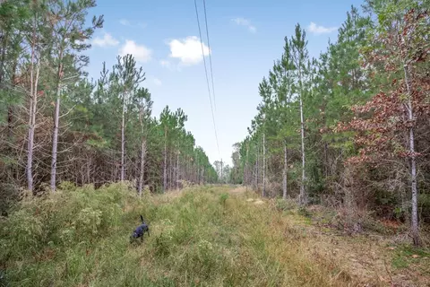3162 Reeves Rd SE, Ruth, MS 39662 photo 2