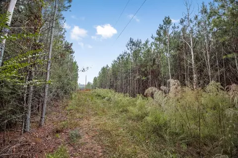 3162 Reeves Rd SE, Ruth, MS 39662 photo 4