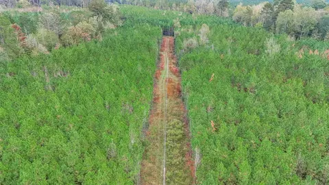 3162 Reeves Rd SE, Ruth, MS 39662 photo 21