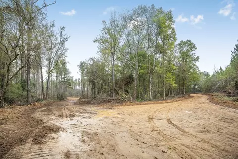 3163 Reeves Rd, Ruth, MS 39662 photo 8