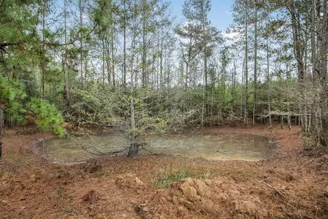 3163 Reeves Rd, Ruth, MS 39662 photo 6