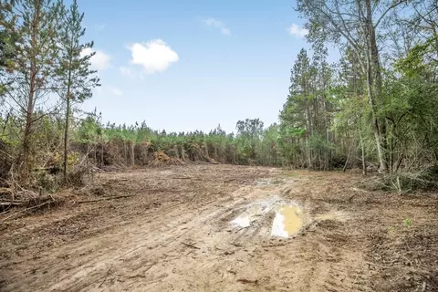 3163 Reeves Rd, Ruth, MS 39662 photo 7
