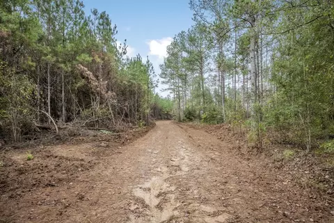 3163 Reeves Rd, Ruth, MS 39662 photo 4