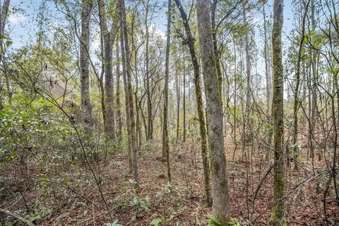 3163 Reeves Rd, Ruth, MS 39662 photo 12
